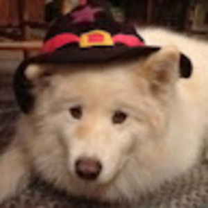 Meet your Posher, Mandy